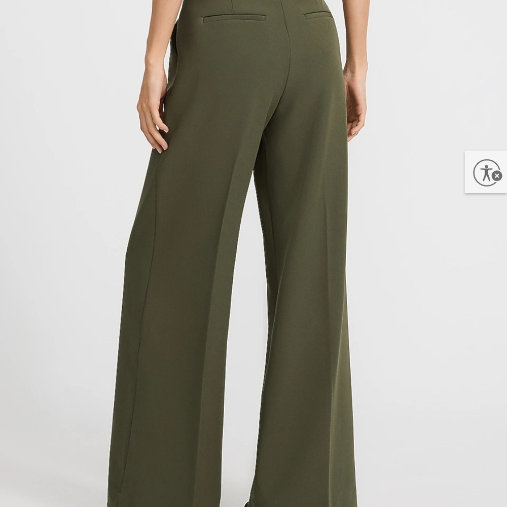Express Wide Leg Pants in Olive Green